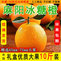【礼盒装】湖南正宗麻阳冰糖橙10斤包邮新鲜现摘橙子当季水果