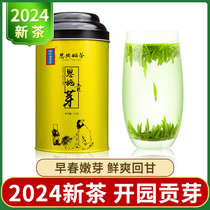 现货早春绿茶2024年新茶叶雀舌恩施硒茶明前特级贡芽竹叶茶100克