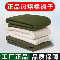 正品军训褥子白褥子单人床学生宿舍军绿色棉褥军绿床垫子热熔棉
