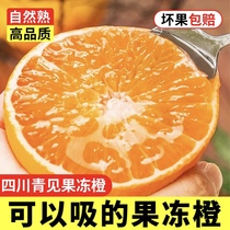 四川正宗青见果冻橙手剥橙应季新鲜水果孕妇柑橘橙子桔子整箱包邮