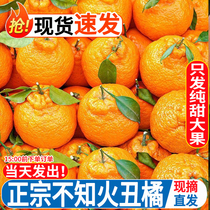 四川不知火丑橘10斤新鲜水果耙耙桔柑粑粑当季丑八怪橘子整箱包邮