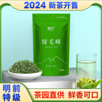 赋雅轩绿茶2024年新茶草青特级浓香型四川蒙顶山茶绿毛峰袋装散装