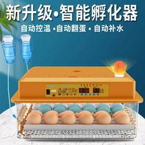 孵化器小型家用全自动智能小鸡孵化机孵小鸡的机器鸭鸽水床孵蛋器