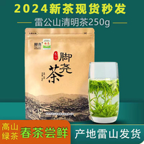 2024贵州雷山脚尧茶清明茶春茶特级高山茶新茶明前茶