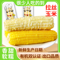 【香菇618】有机玉米新鲜白粘甜糯玉米非东北加热即食黄黏糯玉米