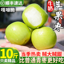 10斤精品苹果枣牛奶枣贵妃枣大青枣新鲜应季脆甜水果雪梨蜜枣整箱