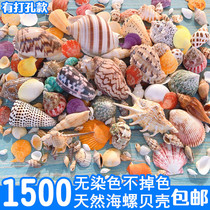 鱼缸天然贝壳海螺海星创意造景珊瑚卷贝鱼水族箱寄居蟹装饰品套餐