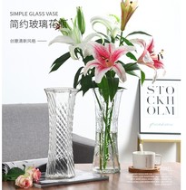 玻璃花瓶透明水养富贵竹百合花瓶摆件客厅插花干花北欧家用特大号