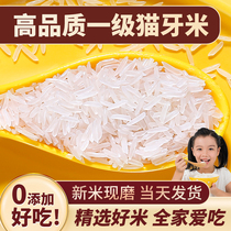 猫牙米长粒香米官方旗舰店大米2024年新米泰国香米丝苗米油粘10斤