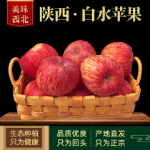 苹果水果5斤陕西白水苹果红富士苹果新鲜当季脆甜冰糖心一级大果