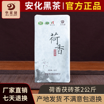 安化黑茶 华莱健荷香茯砖茶2000克养生刮油金花茶