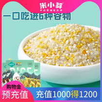 米小芽6+有机多谷物米7天粥米胚芽米营养粗粮送婴儿宝宝辅食食谱
