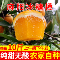 湖南麻阳冰糖橙子高山甜橙10斤新鲜水果当季手剥橙原产地直发