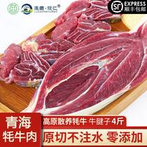 青海牦牛肉高原散养牛腱子肉新鲜4斤牛肉生鲜耗牛肉腱子清真原切