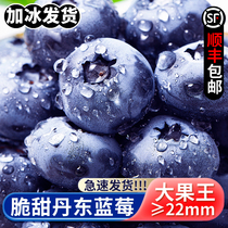 丹东宝宝蓝莓新鲜孕妇水果超大果新鲜采摘蓝莓鲜果脆甜当季顺丰