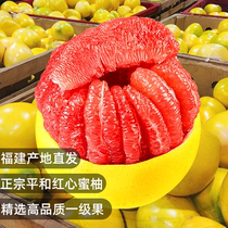 2022正宗福建平和红心柚子新鲜水果一级果当季红柚管溪红肉蜜柚10
