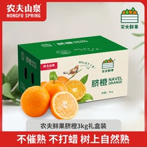农夫山泉脐橙3kg礼盒装新鲜橙子当季水果【新品上市】不催熟好吃