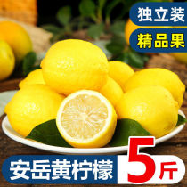 安岳黄柠檬尤力克5斤装水果新鲜当季整箱现摘一二级皮薄香水包邮3