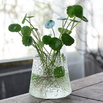 绿萝水培花盆器皿花瓶透明玻璃插花创意水养植物花器客厅装饰摆件