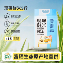 吉内得大米2023新米富硒大米5斤长粒米籼米真空包装老种子鲜米