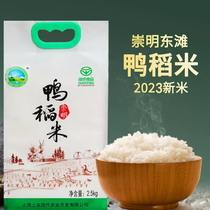 2023年新米上海崇明东滩绿港鸭稻米新大米5斤软香米粳米真空包装