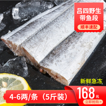 南通吕四吕洞宾海鲜特产冷冻水产吕四小眼带鱼刀鱼  4-6两/条 5斤