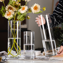 现代简约玻璃花瓶透明直筒水养水培富贵竹马醉木落地插花装饰摆件