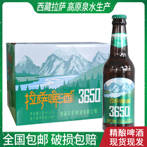 西藏拉萨啤酒3650瓶装进口330ml高原泉水精酿 圣地圣水特产整箱
