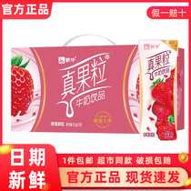 4月蒙牛真果粒草莓牛奶饮品250g×12盒送礼盒整箱批特价营养早餐
