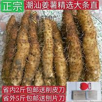 潮汕姜薯新鲜特产精选大条当天挖发货省内2斤省外5斤包邮1份500克