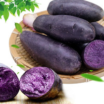 黑土豆新鲜蔬菜黑金刚乌洋芋紫色马铃薯紫黑花青素批发5斤