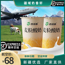 【顺丰航空】新疆西域春麦粒燕麦仁酸奶180克12杯装整箱早餐代餐