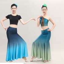 傣族舞蹈演出服装练功裙表演服傣族服装女舞裙孔雀舞艺考服装舞台