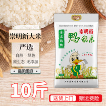 新大米2023年崇明新米5kg农家软香米鸭稻米上海米10斤装2024年产