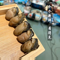 阳西特产程村蚝豉干自晒风干海牡蛎干海鲜海味干货煲汤250g新晒蚝