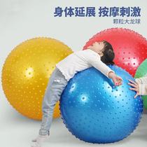 瑜伽球健身球大龙球儿童感统训练孕妇助产宝宝婴儿运动大球平衡球