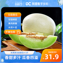 【数乡宝藏】冰淇淋玉菇甜瓜4.5斤新鲜水果当季整箱包邮a
