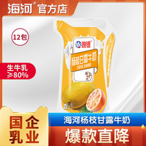 【新品有货】天津海河牛奶杨枝甘露牛奶12袋整箱办公室学生早餐奶