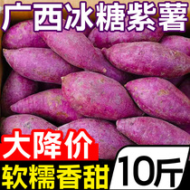广西沙地糖心紫薯10斤板栗小红薯蜜薯新鲜农家自种烟薯超甜一点红