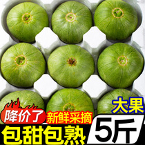 东北绿宝甜瓜5斤大果新鲜水果当季时令小甜瓜脆瓜绿宝石香瓜批发