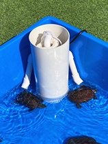 乌龟缸免换水过滤器低水位龟池龟箱除臭静音鱼马桶鱼缸粪便分离器