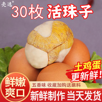 壳逸40枚新鲜13天活珠子鸡胚蛋开袋即食熟钢化蛋毛蛋毛鸡蛋五香