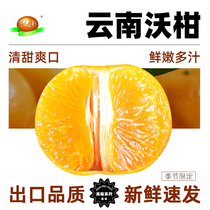 云南高山沃柑8斤当季整箱一级橘子皇帝蜜柑橘新鲜水果砂糖桔子丑