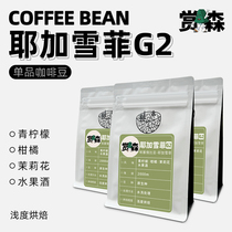 赏森新产季埃塞俄比亚耶加雪菲G2精品手冲单品咖啡豆新鲜烘焙磨粉