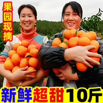 正宗广西沃柑10斤新鲜橘子水果武砂糖皇帝橘柑桔子鸣当季整箱沃柑