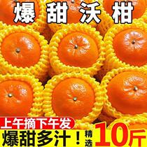 广西武鸣沃柑9斤新鲜水果当季整箱皇帝沙糖蜜橘砂糖柑橘桔子