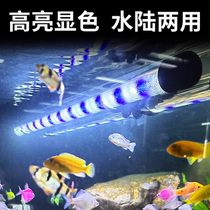 鱼缸灯led灯防水全光谱水草观赏灯珊瑚小型鱼缸专用照明灯三基色