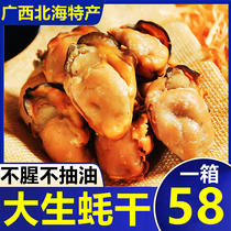 广西北海特产大生蚝干500g海鲜干货海产品牡蛎肉蚝干牡蛎干生蚝肉