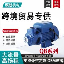 外贸QB60/70/80离心泵旋涡泵220v/110v QB水泵灌溉Water pump