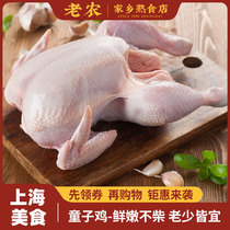 上海三黄鸡商用新鲜崇明农家童子鸡整只冷冻新鲜土鸡草鸡三黄鸡笨